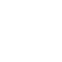 Dr.P